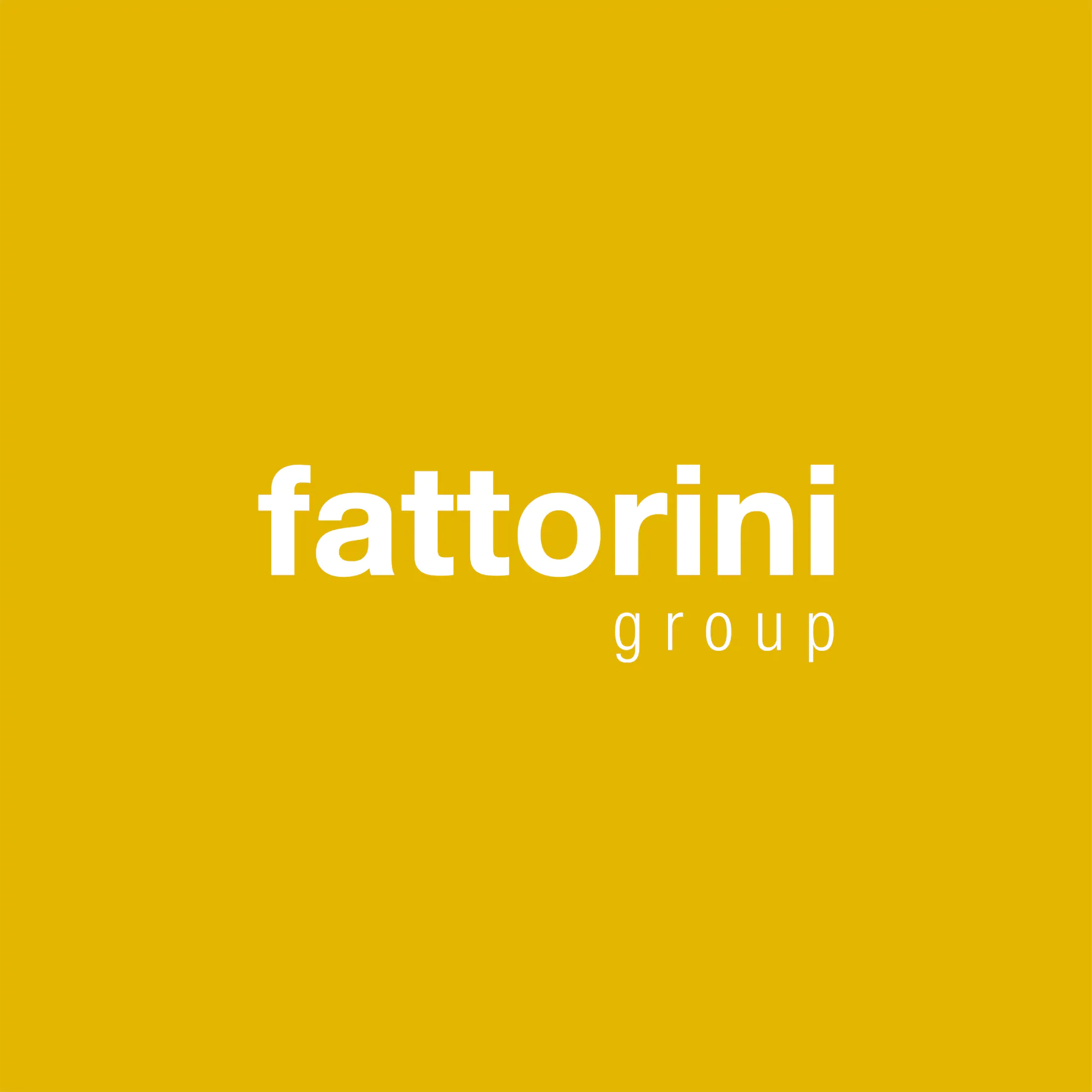 Fattorini Group S.r.l  - 