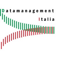 Datamanagement Italia Spa - Informatica