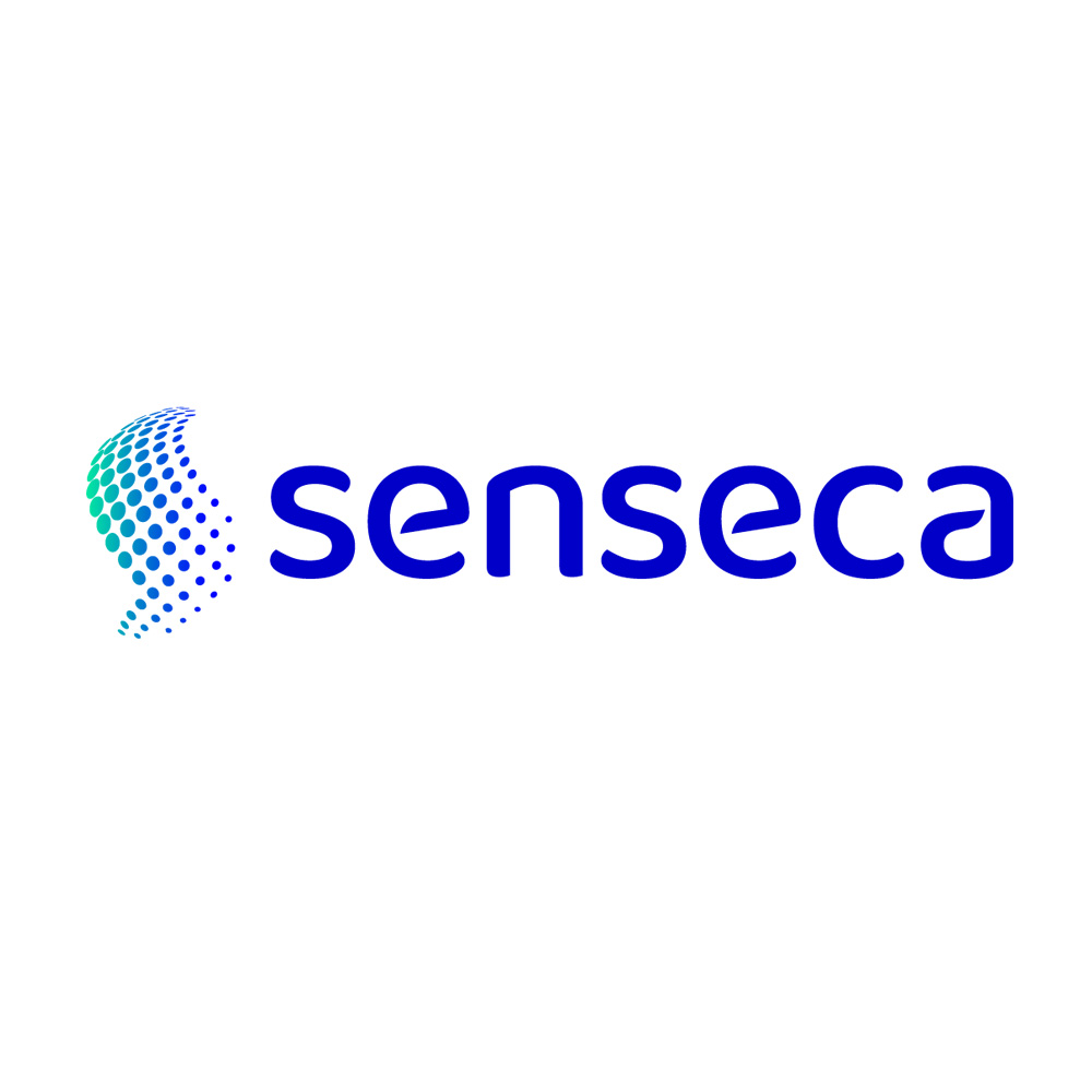 SENSECA ITALY SRL - 