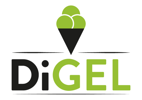 DIGEL S.R.L. - 