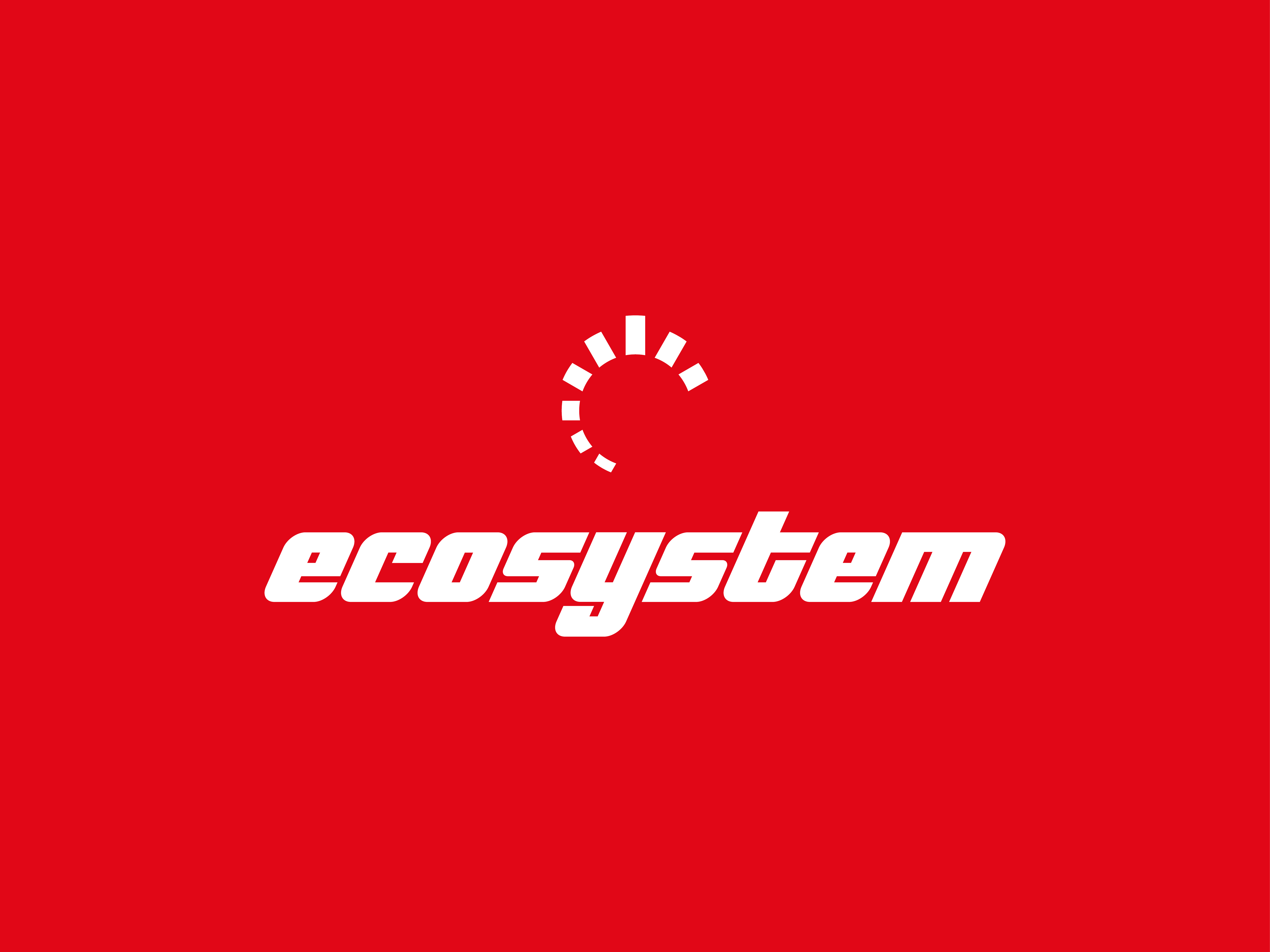 ECOSYSTEM COSTRUZIONI S.P.A. - 